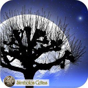 Astrología Celta: Significado del Zodíaco Druida